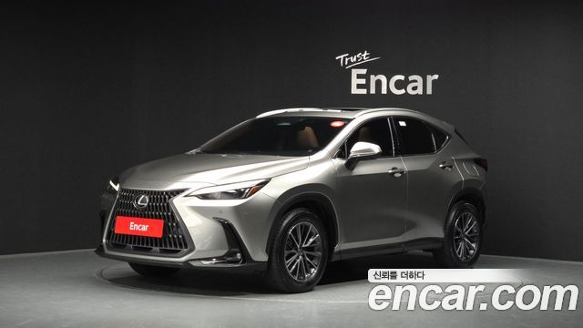 2024 Lexus NX, VIN JTJKKAFZ9R2025311