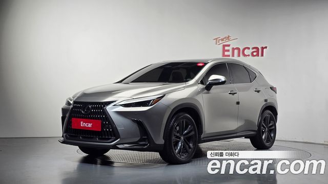 2024 Lexus NX, VIN JTJGKAEZ0R2018938