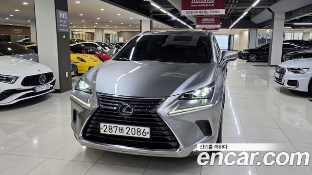 2021 Lexus NX, VIN JTJDJRDZ9M2157724