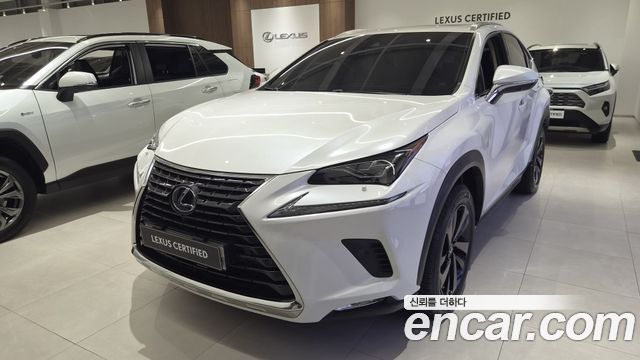 2021 Lexus NX, VIN JTJHJRDZ7M5014674