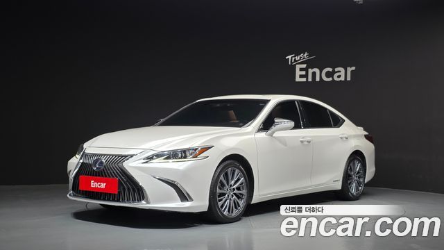 2020 Lexus ES, VIN JTHB21B14L2083096
