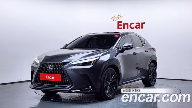 2024 Lexus NX, VIN JTJGKAEZ4R2018070