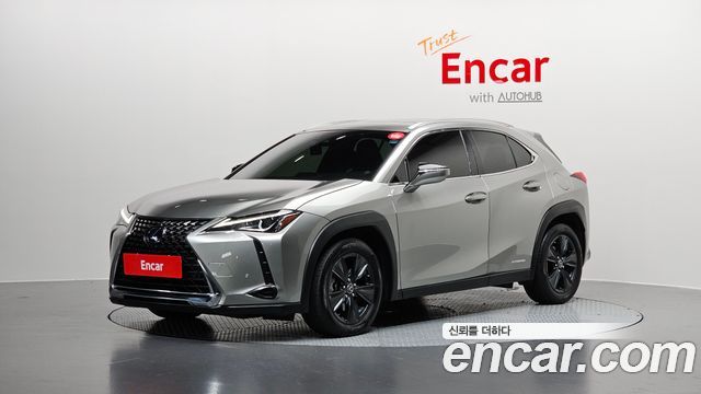 2020 Lexus UX, VIN JTHP6JBHXL2073812