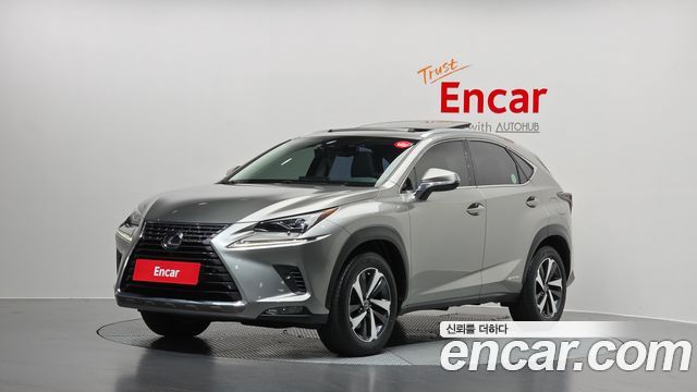 2021 Lexus NX, VIN JTJDJRDZ2M2159623