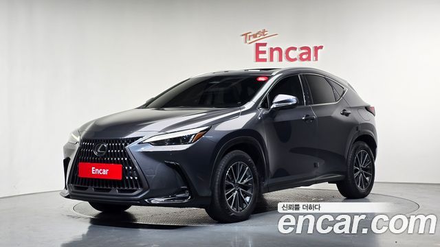 2024 Lexus NX, VIN JTJKKAFZ161616161