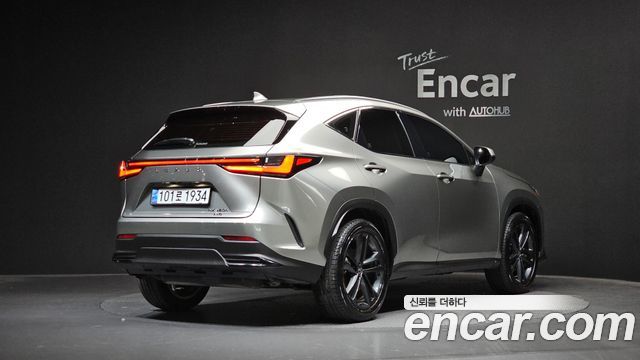 2025 Lexus NX, VIN JTJGKAEZ4S2050376