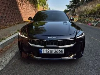 2021 Kia Stinger, VIN KNAE351DBMS091076