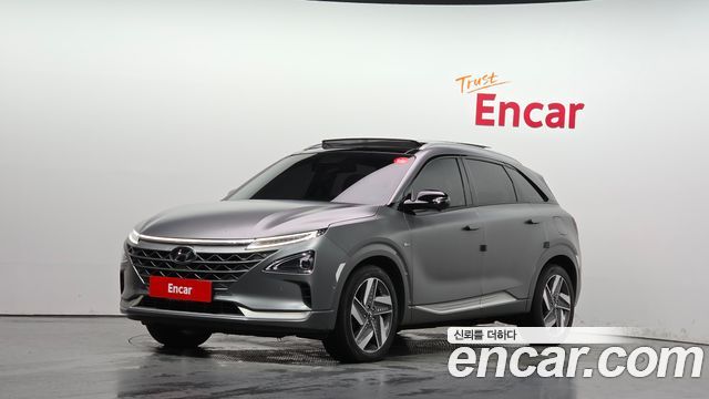 2021 Hyundai Nexo, VIN KMHJ8816FMU010874