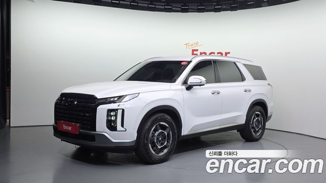 2023 Hyundai Palisade, VIN KMHR281ABPU550396
