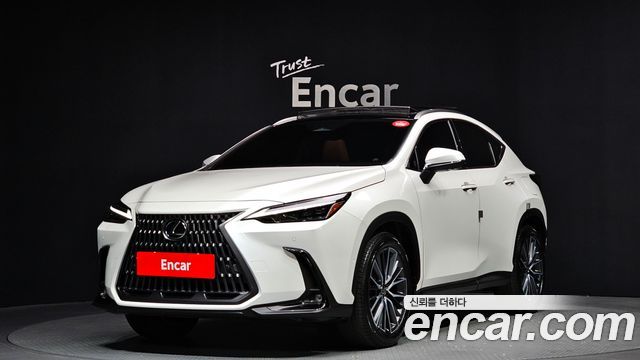 2025 Lexus NX, VIN JTJHKAEZ5S2049449