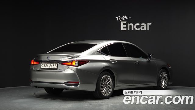 2021 Lexus ES, VIN JTHBA1C13M2002687