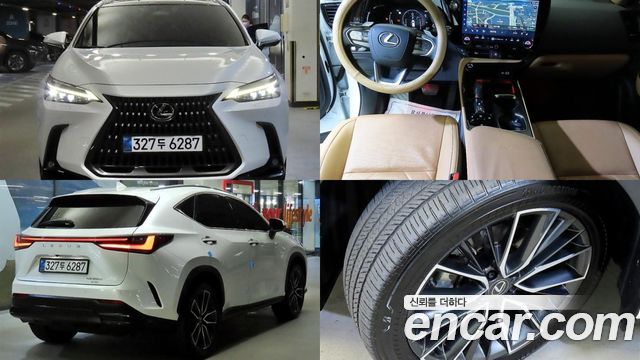 2025 Lexus NX, VIN JTJHKAEZ8S2063166