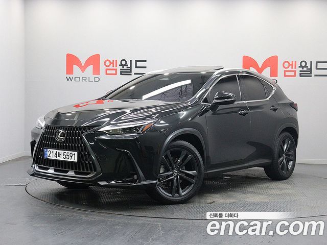 2025 Lexus NX, VIN JTJGKAEZ8S2058674