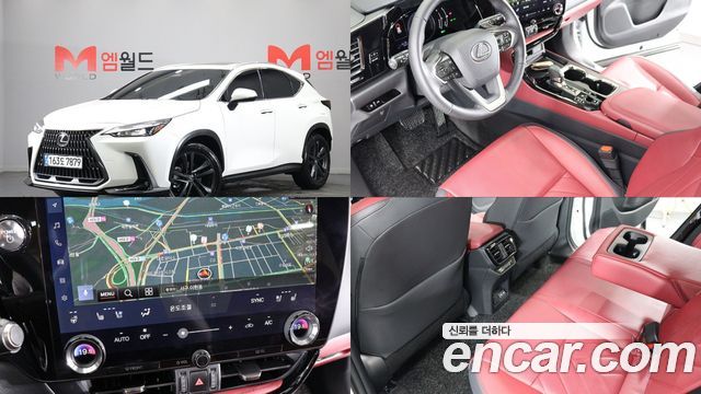 2025 Lexus NX, VIN JTJGKAEZ1S2062940