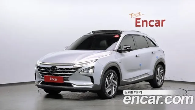 2020 Hyundai Nexo, VIN KMHJ8816FLU009105