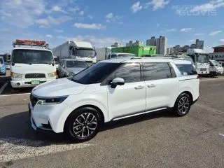 2021 Kia Carnival, VIN KNANC81BBMS096717