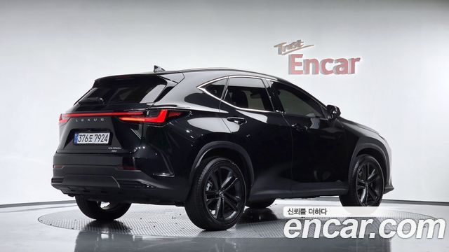 2025 Lexus NX, VIN JTJGKAEZ0S2066087