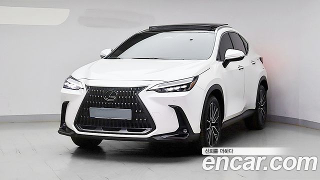 2024 Lexus NX, VIN JTJHKAEZ3R2018498