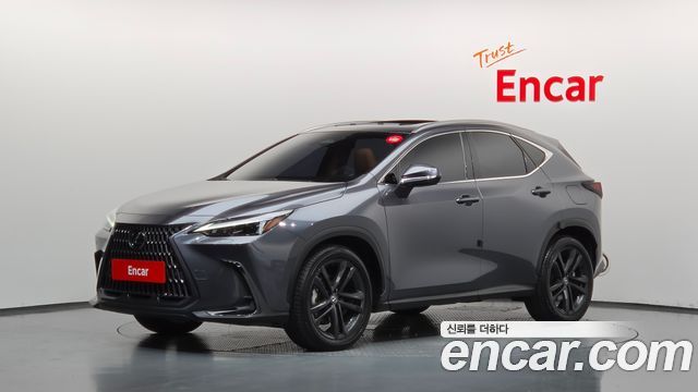 2024 Lexus NX, VIN JTJGKAEZ7R2019858