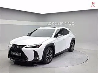 2020 Lexus UX, VIN JTHR6JBH7L2073775