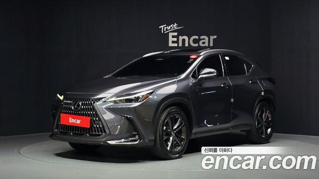 2023 Lexus NX, VIN JTJGKAEZ0P2015213