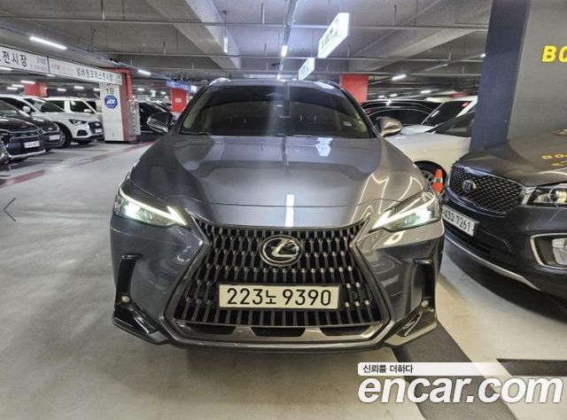 2024 Lexus NX, VIN JTJGKSEZSR2018654