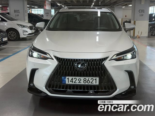 2022 Lexus NX, VIN JTJHKAFZ8N2008896