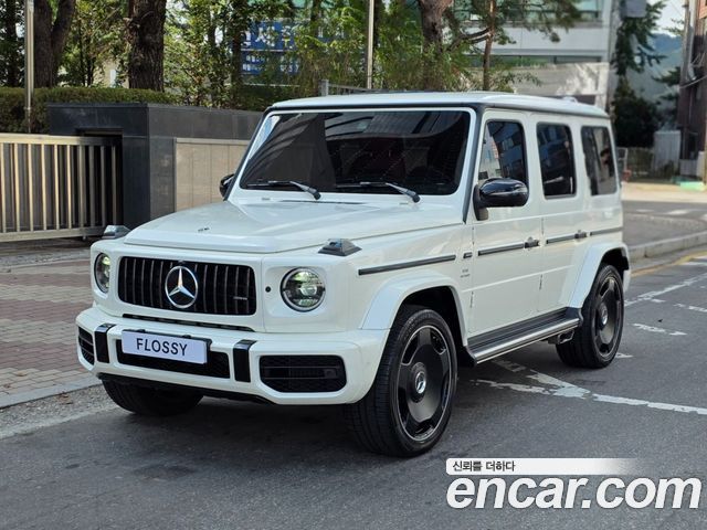 2021 Mercedes-Benz G-Class, VIN W1NYC7GJ0MX406285