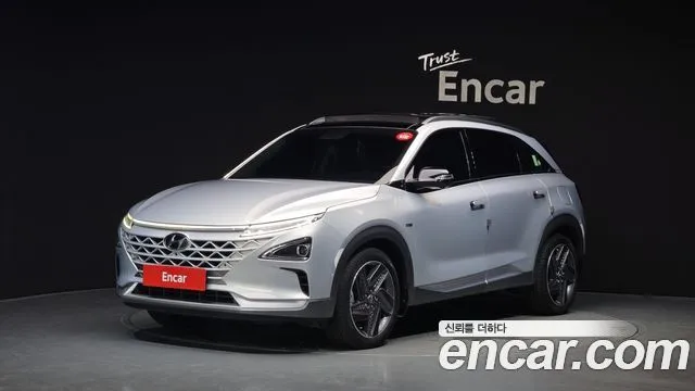 2020 Hyundai Nexo, VIN KMHJ8816FLU006668
