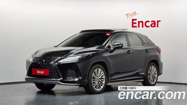 2020 Lexus RX, VIN JTJBGMCA3L2061803