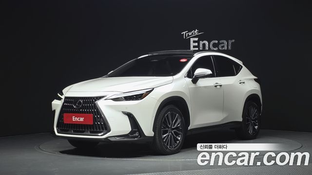 2024 Lexus NX, VIN JTJHKAEZ4R2034340