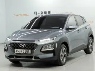 2020 Hyundai Kona, VIN KMHK381EGLU029336