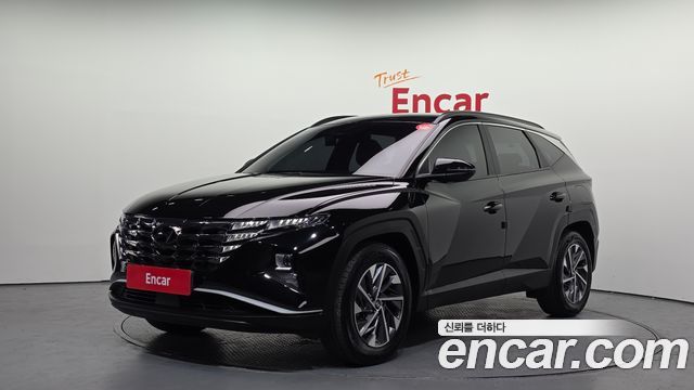 2021 Hyundai Tucson, VIN KMHJC81CBMU017173