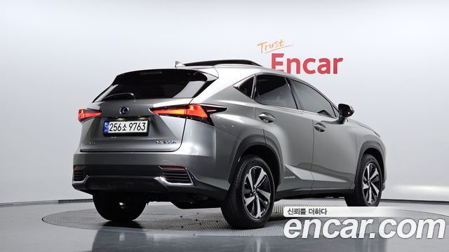 2021 Lexus NX, VIN JTJDJRDZ8M2164972