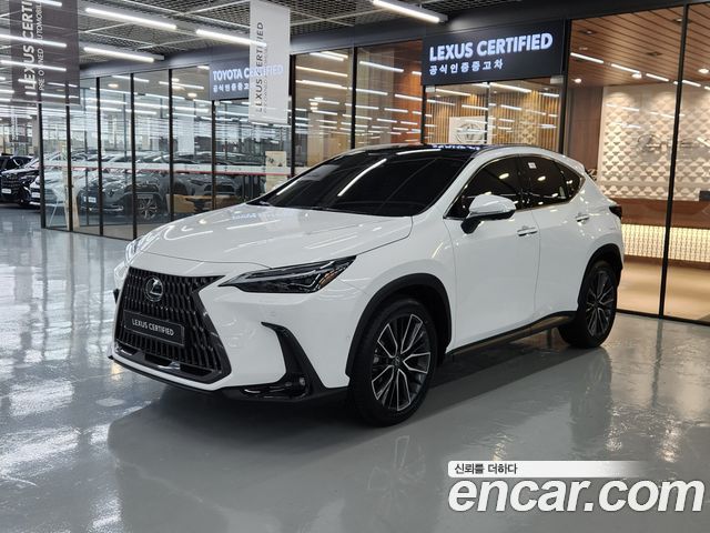 2026 Lexus NX, VIN JTJHKAEZ0T2075197