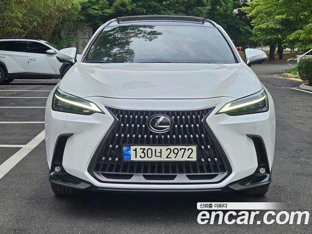 2024 Lexus NX, VIN JTJHKAEZ4R2024231