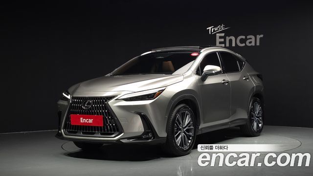 2025 Lexus NX, VIN JTJHKAEZ9S2063418