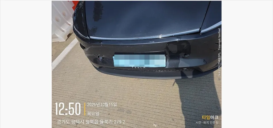 2025 Tesla Model Y, VIN LRWYGCFJ8SC239570