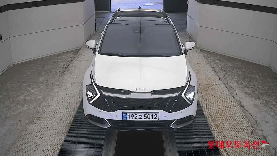 2023 Kia Sportage, VIN KNAPX81CBPK127443