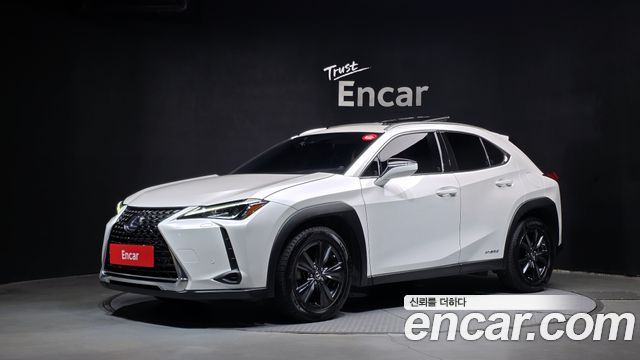 2021 Lexus UX, VIN JTHP6JBH8M2086303