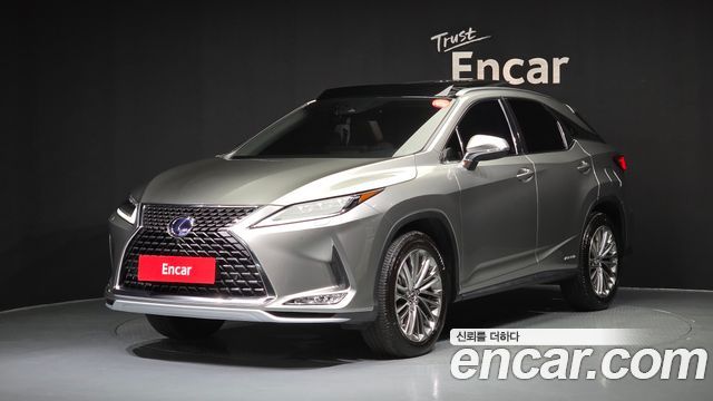 2021 Lexus RX, VIN JTJBGMCA3M2074990