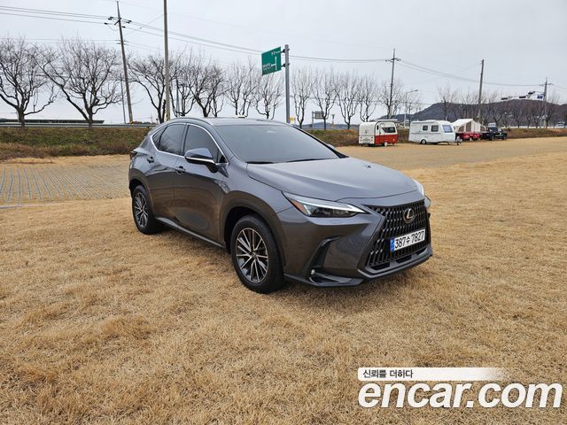 2024 Lexus NX, VIN JTJHKAFZSR2034796