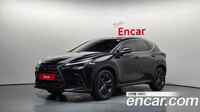 2025 Lexus NX, VIN JTJGKAEZ4S2053438