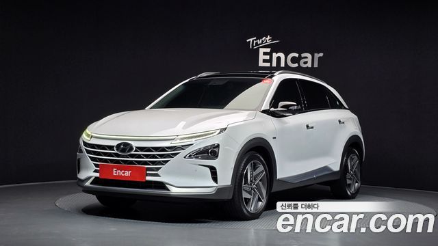 2021 Hyundai Nexo, VIN KMHJ8816FMU011542