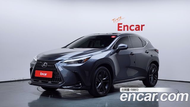 2024 Lexus NX, VIN JTJGKAEZ8R2018654