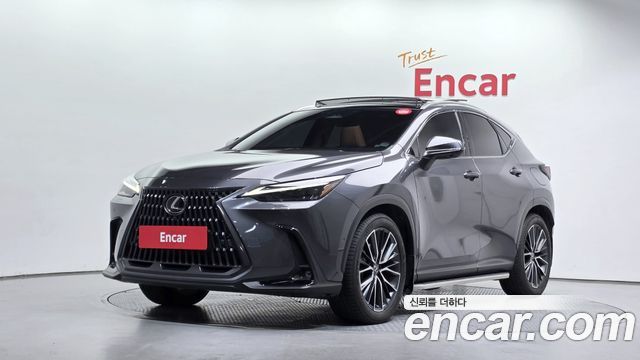 2024 Lexus NX, VIN JTJHKAEZ1R2017236