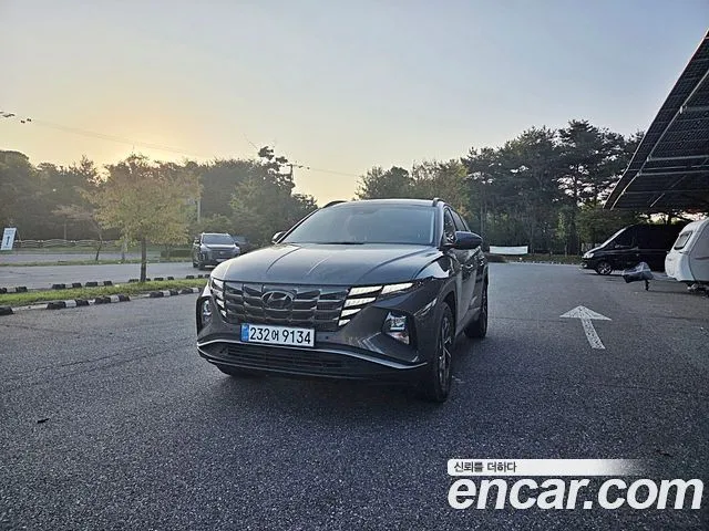 2021 Hyundai Tucson, VIN KMHJC81BGMU046137
