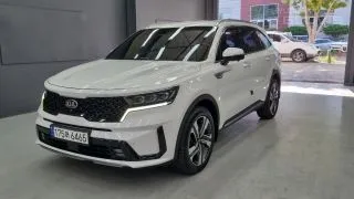 2021 Kia Sorento, VIN KNARH81GBMA008861