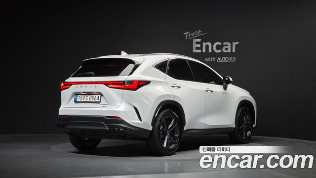 2025 Lexus NX, VIN JTJGKAEZ1S2052036