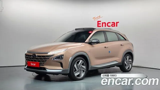 2021 Hyundai Nexo, VIN KMHJ8816FMU012670